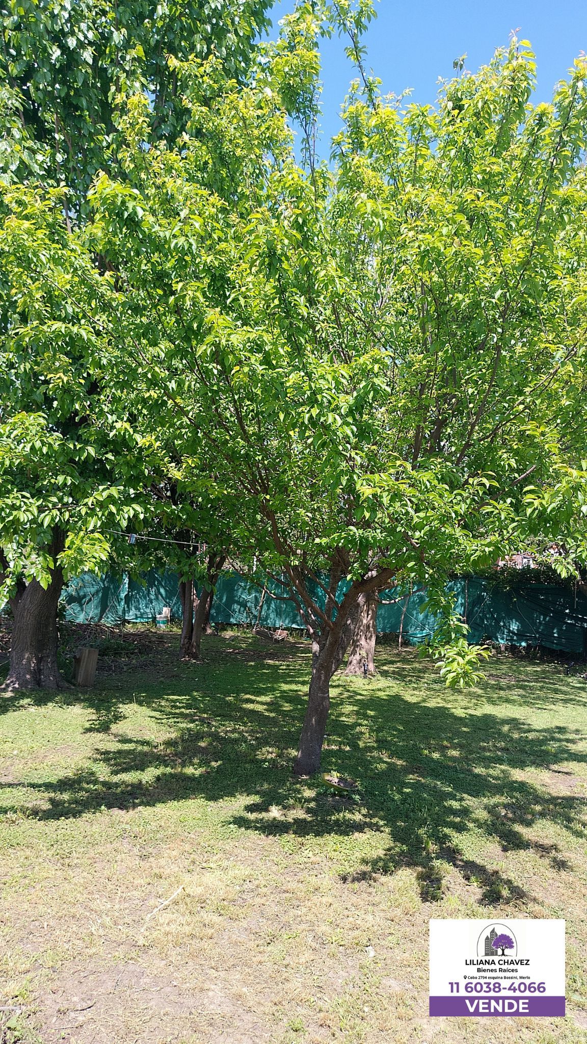 Casa de 3 ambientes en venta en Mariano Acosta Merlo  4