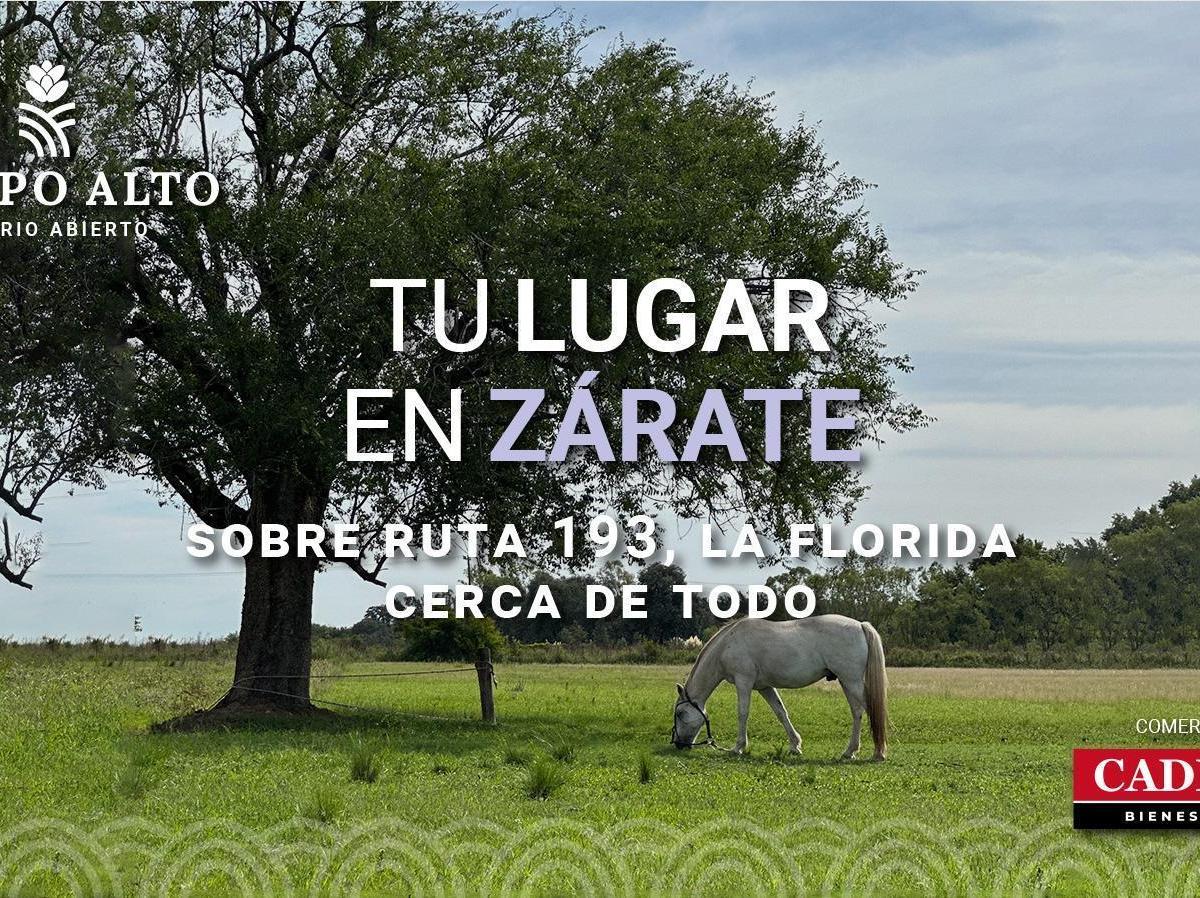 Foto de Terrenos en Venta desde 600 m2. Barrio abierto sin expensas, Campo Alto., imagen 2