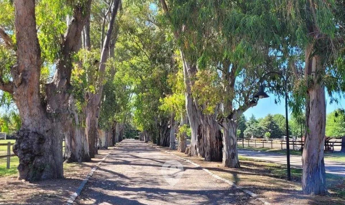 Terreno en Venta. 1era Etapa terminada con posesión. 1047 m2