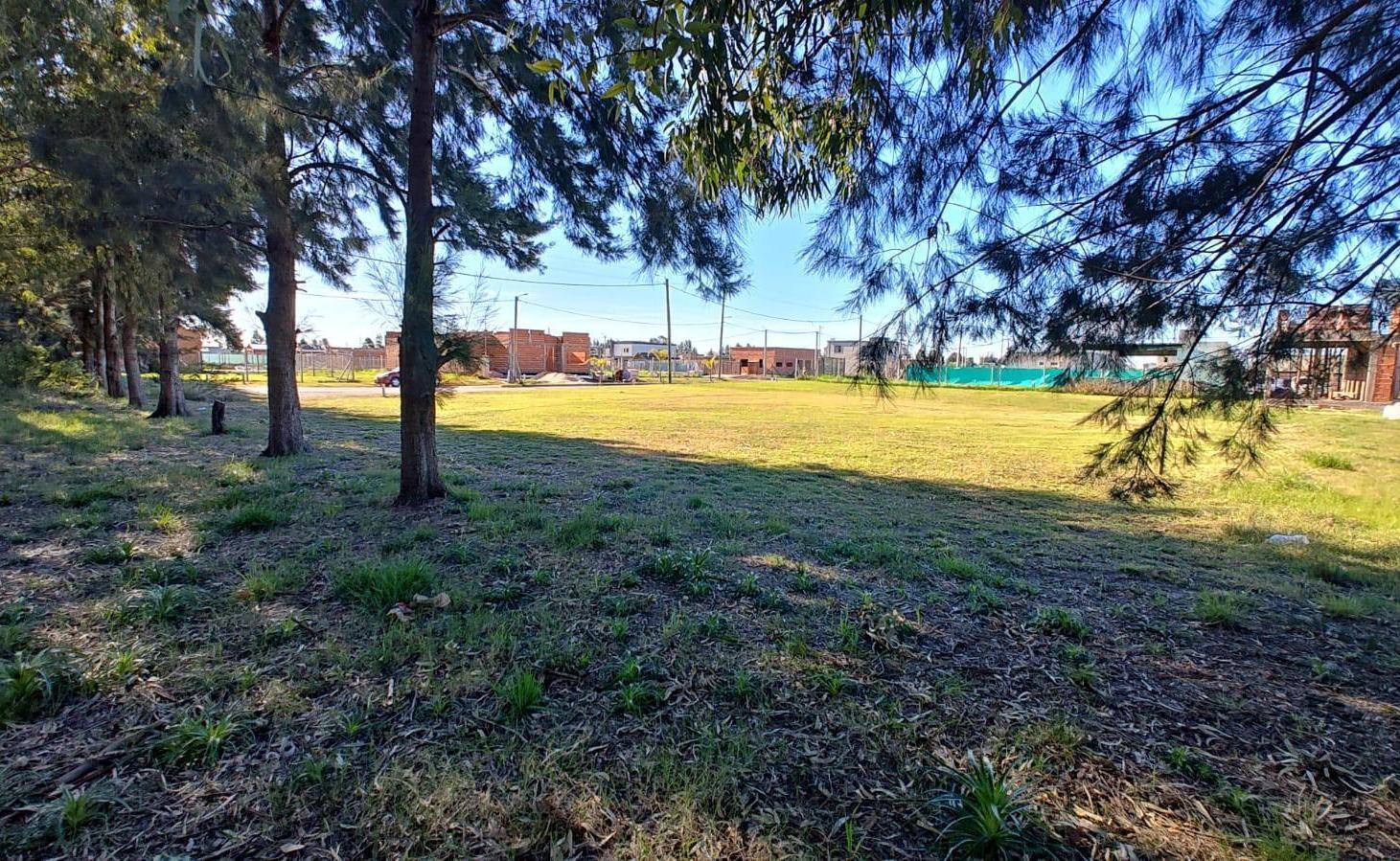 Foto de 2 Terrenos en Venta en Barrio Cardales Chico, de 736 m². Con posesión y, imagen 4
