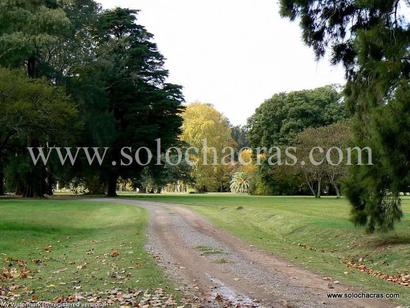 Foto de Benquerencia Barrio Cerrado de Chacras 149, imagen 5