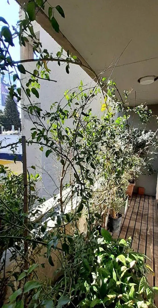 VENTA 2 AMBIENTES EN NUÑEZ HERMOSO SEMIPISO de 58 M2 CON AMPLIO BALCON A PULMON DE MANZANA OR. NORTE 3