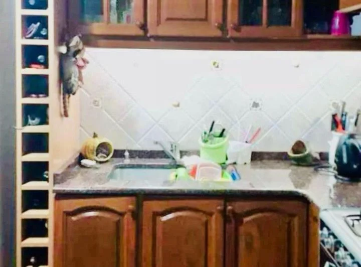 Venta Casa 6amb patio,Terraza y Coch San Cristobal 5