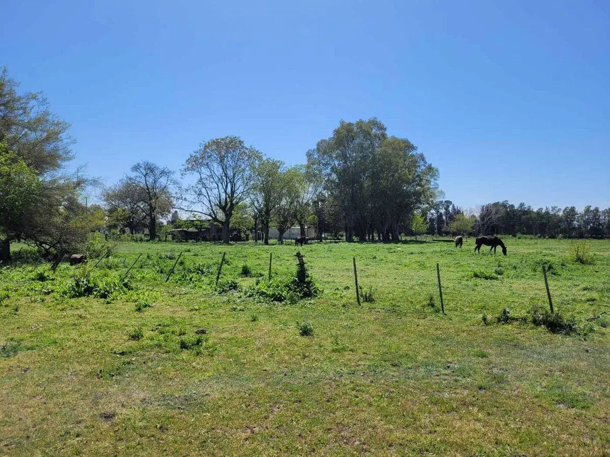 Campo 35,83 Ha - Km 51 Au Ezeiza Cañuelas 4