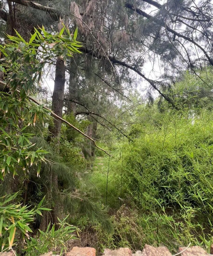 VENTA LOTE TERRENO 1.000 M² EN JUAN RACINE TIGRE 2