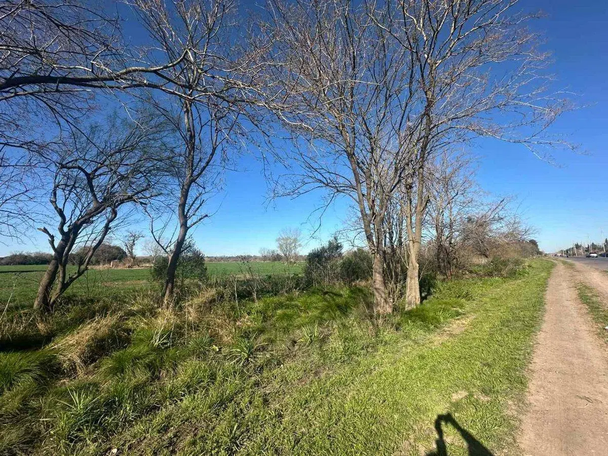 3 HAS. SOBRE LA RUTA 25, KM 7,5 PILAR Oportunidad 2
