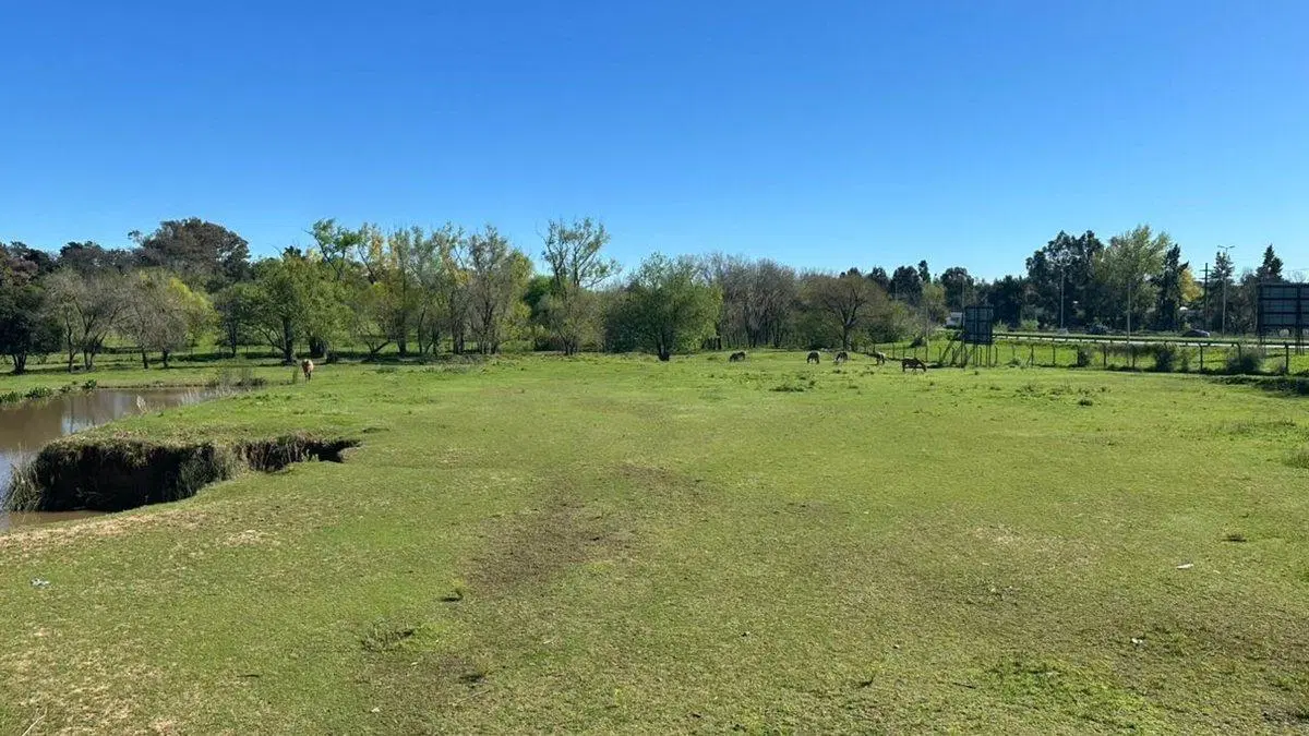 VENTA LOTE,  ZARATE, FRACCIONABLE, RETAZADO 5