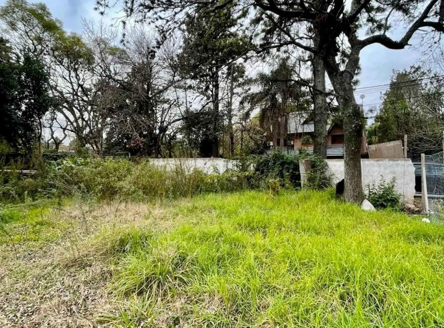 VENTA LOTE LA HORQUETA SAN ISIDRO 4