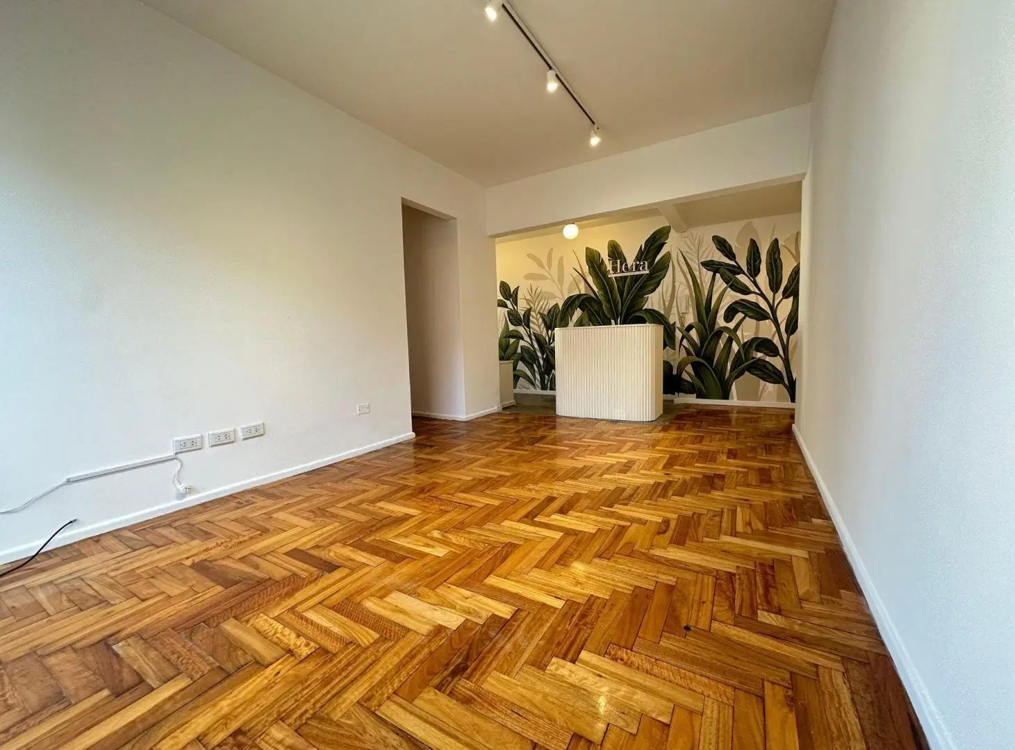 Alquiler Departamento Caballito 5