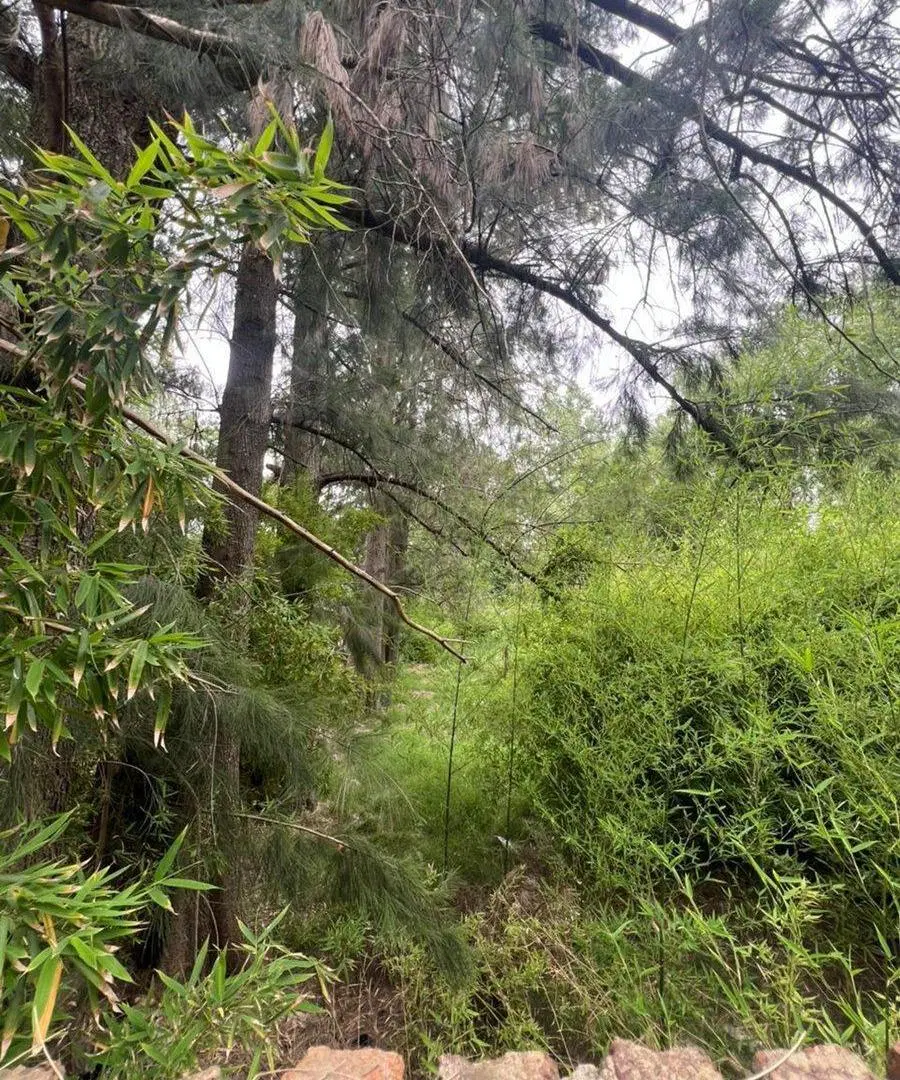 VENTA LOTE TERRENO 1.000 M² EN JUAN RACINE TIGRE 4