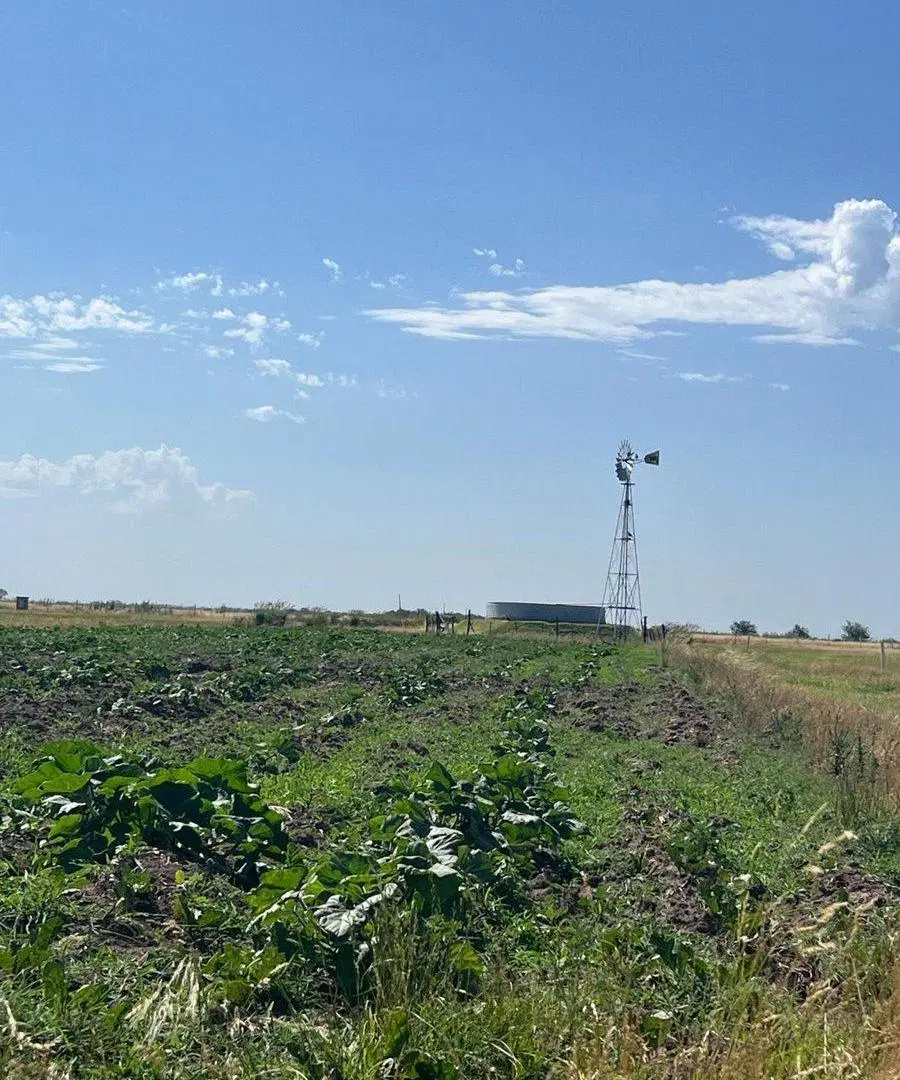 VENTA TERRENO 2.000 M2 BARRIO PAMPA SAN VICENTE 3