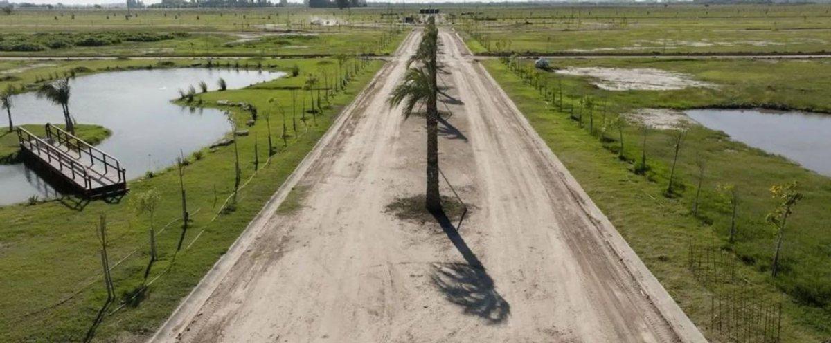 Foto de VENTA LOTE 700M2 EN PLOMER HARAS ANDREA VIRGINIA, imagen 5