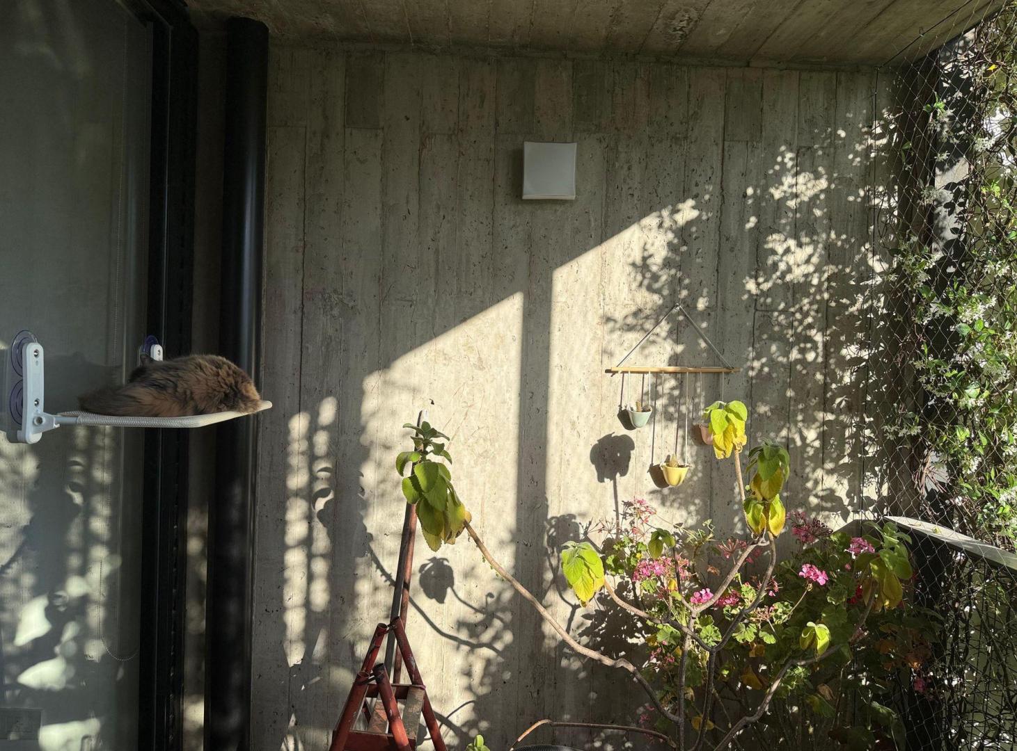 Foto de VENTA DEPARTAMENTO 4 AMB PISCINA BALCON CHACARITA, imagen 4