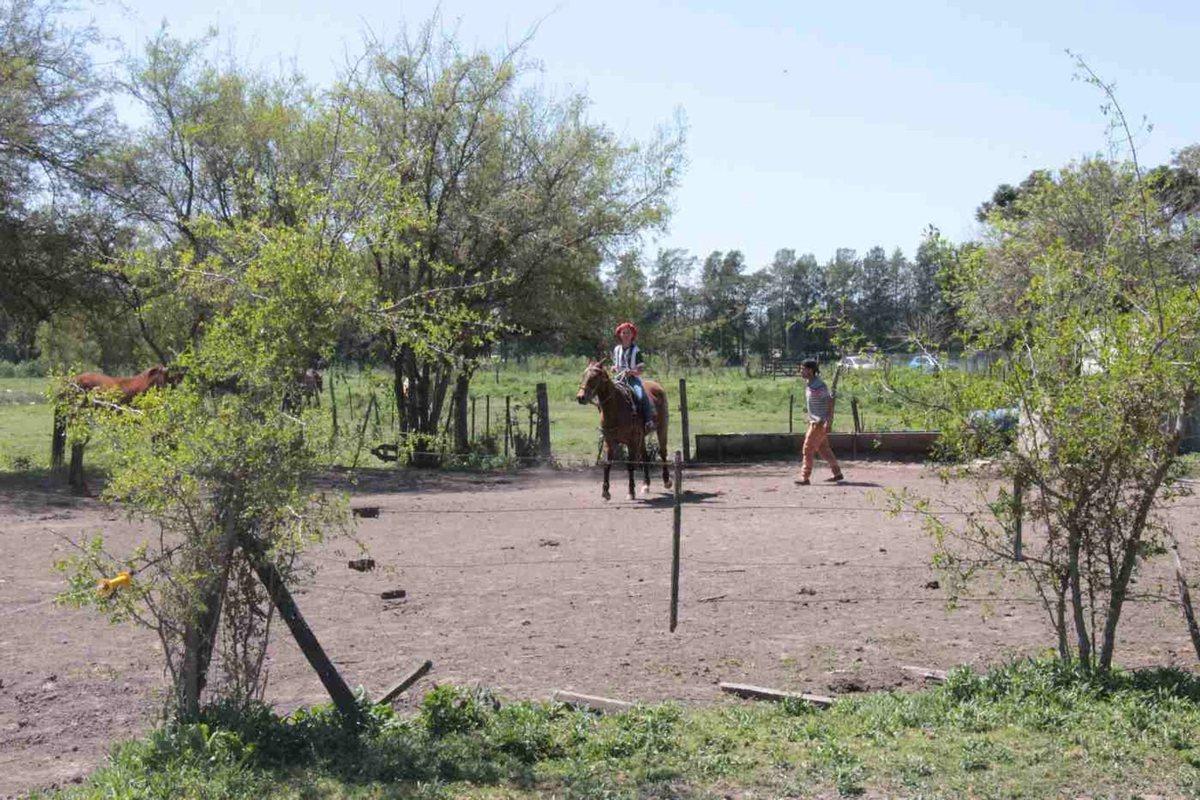 Foto de Campo 35,83 Ha - Km 51 Au Ezeiza Cañuelas, imagen 4