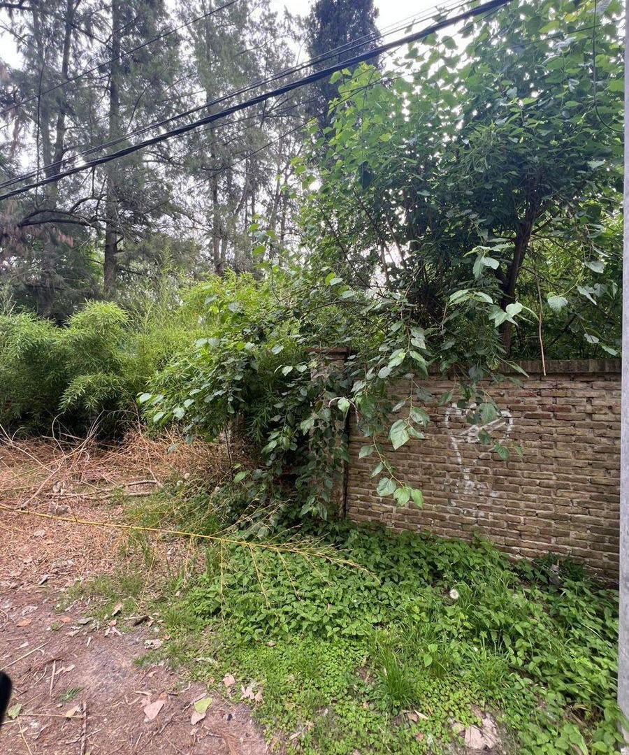 Foto de VENTA LOTE TERRENO 1.000 M² EN JUAN RACINE TIGRE, imagen 4