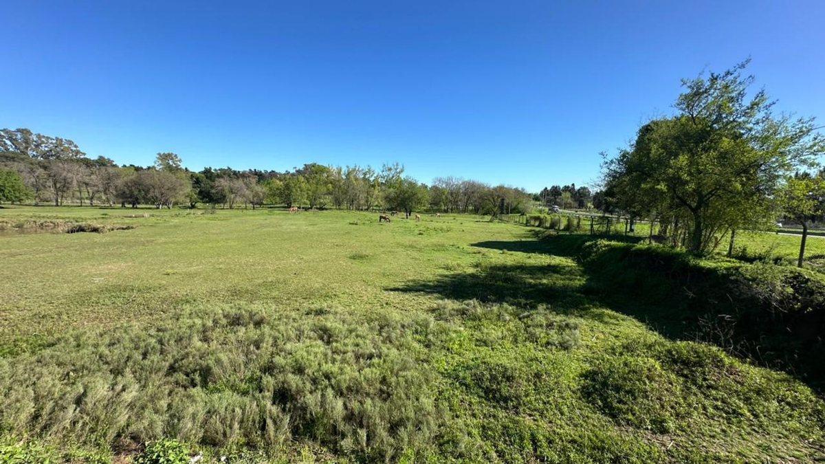 Foto de VENTA LOTE, ZARATE, FRACCIONABLE, RETAZADO, imagen 3