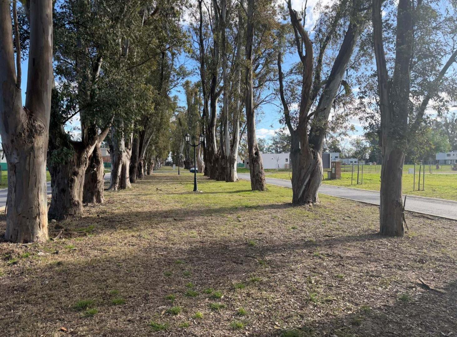 Foto de LOTE CENTRAL BARRIO SANTA SOFIA PILAR DEL ESTE, imagen 5