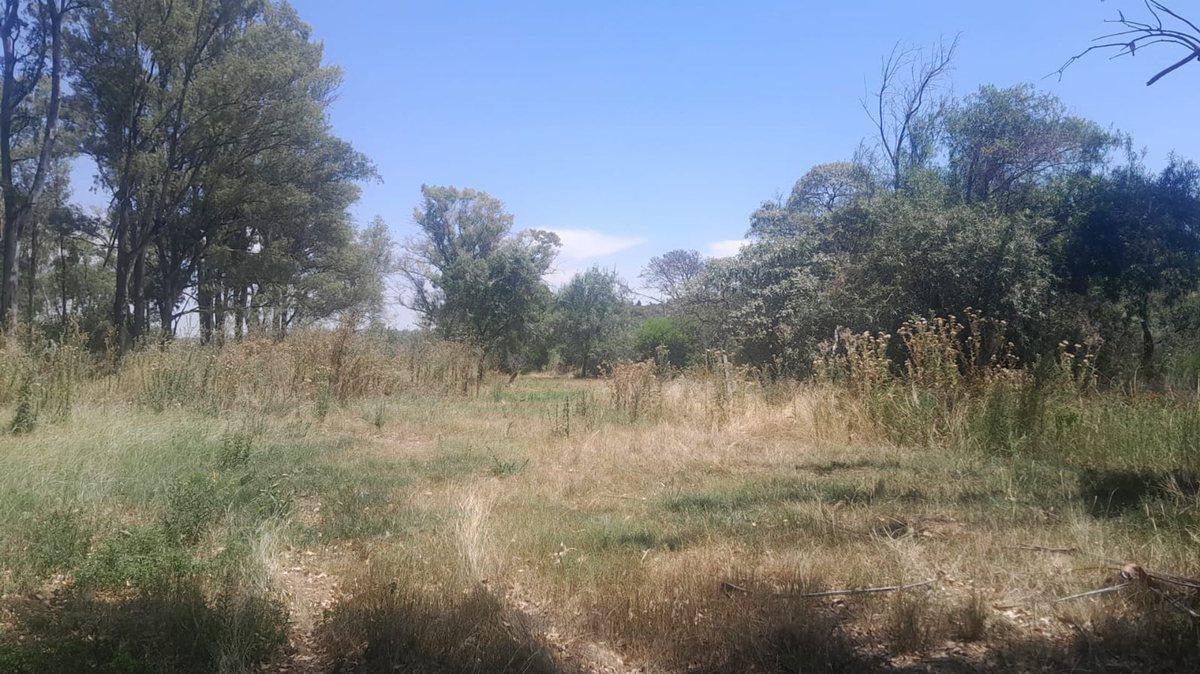 Foto de VENTA LOTE, ZARATE , RETAZADO, imagen 2