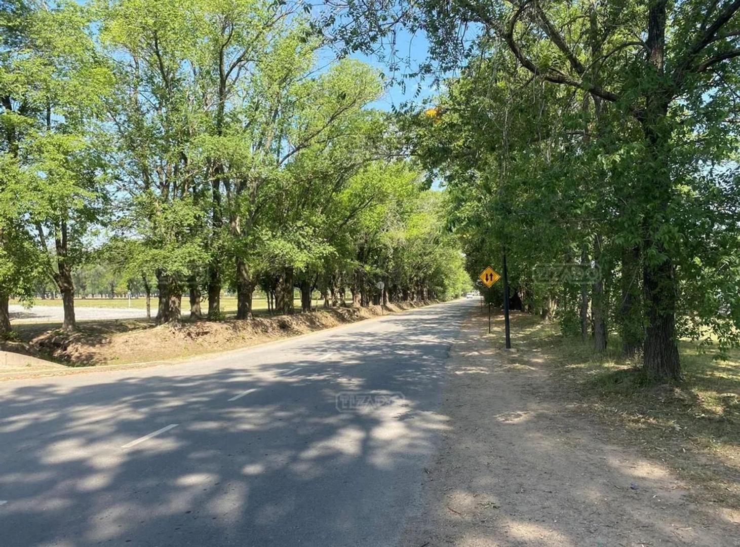 Foto de VENTA LOTE 876 M2 EN SAN SEBASTIAN AREA 11, imagen 3
