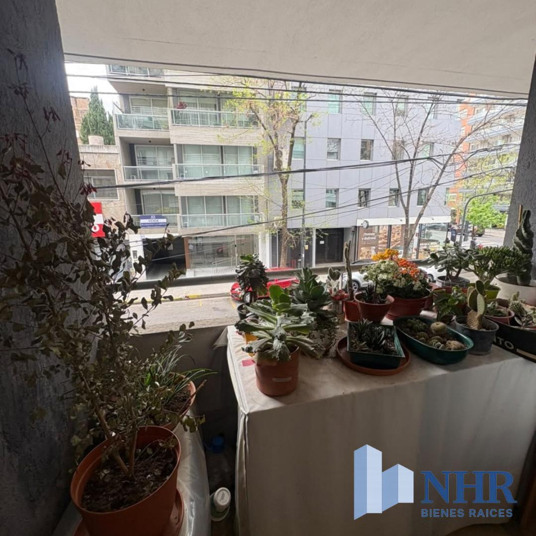 Foto de EXCEL 1 AMB Y MEDIO FTE C/BCON AP PROF O VIVIENDA EDIF CATEG PISCIN, imagen 3