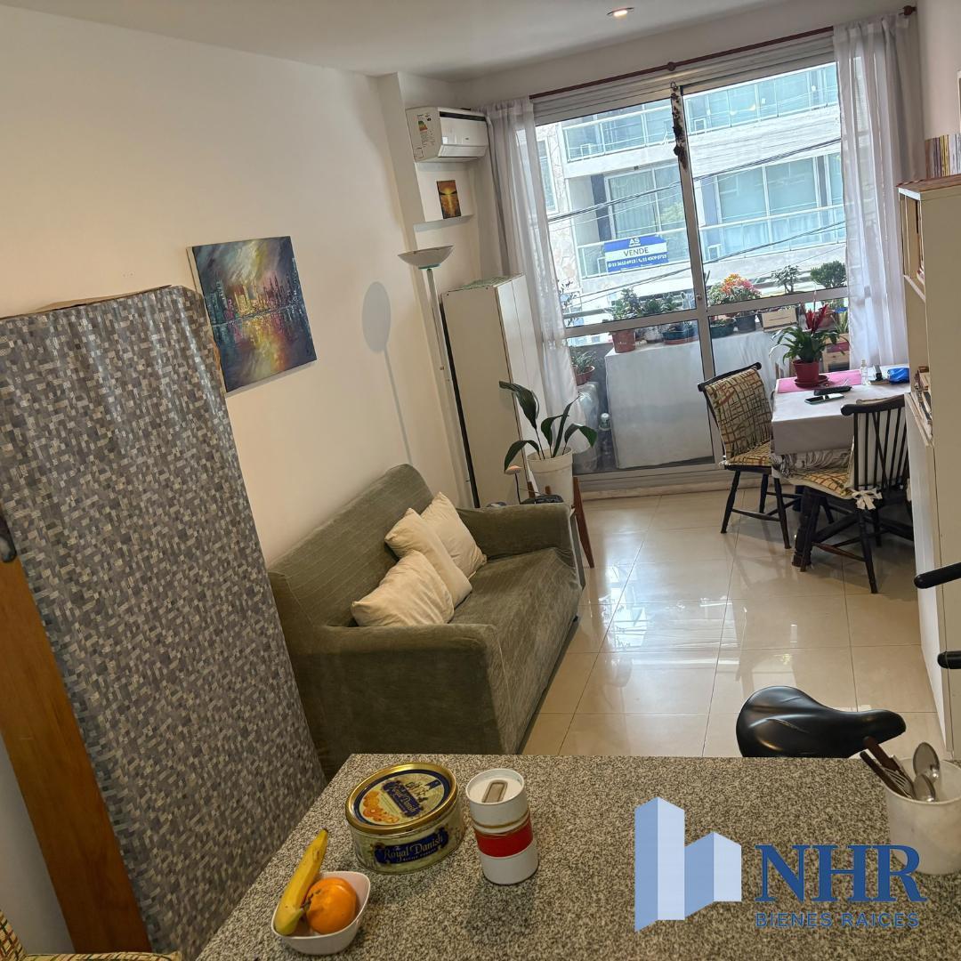 Foto de EXCEL 1 AMB Y MEDIO FTE C/BCON AP PROF O VIVIENDA EDIF CATEG PISCIN, imagen 5