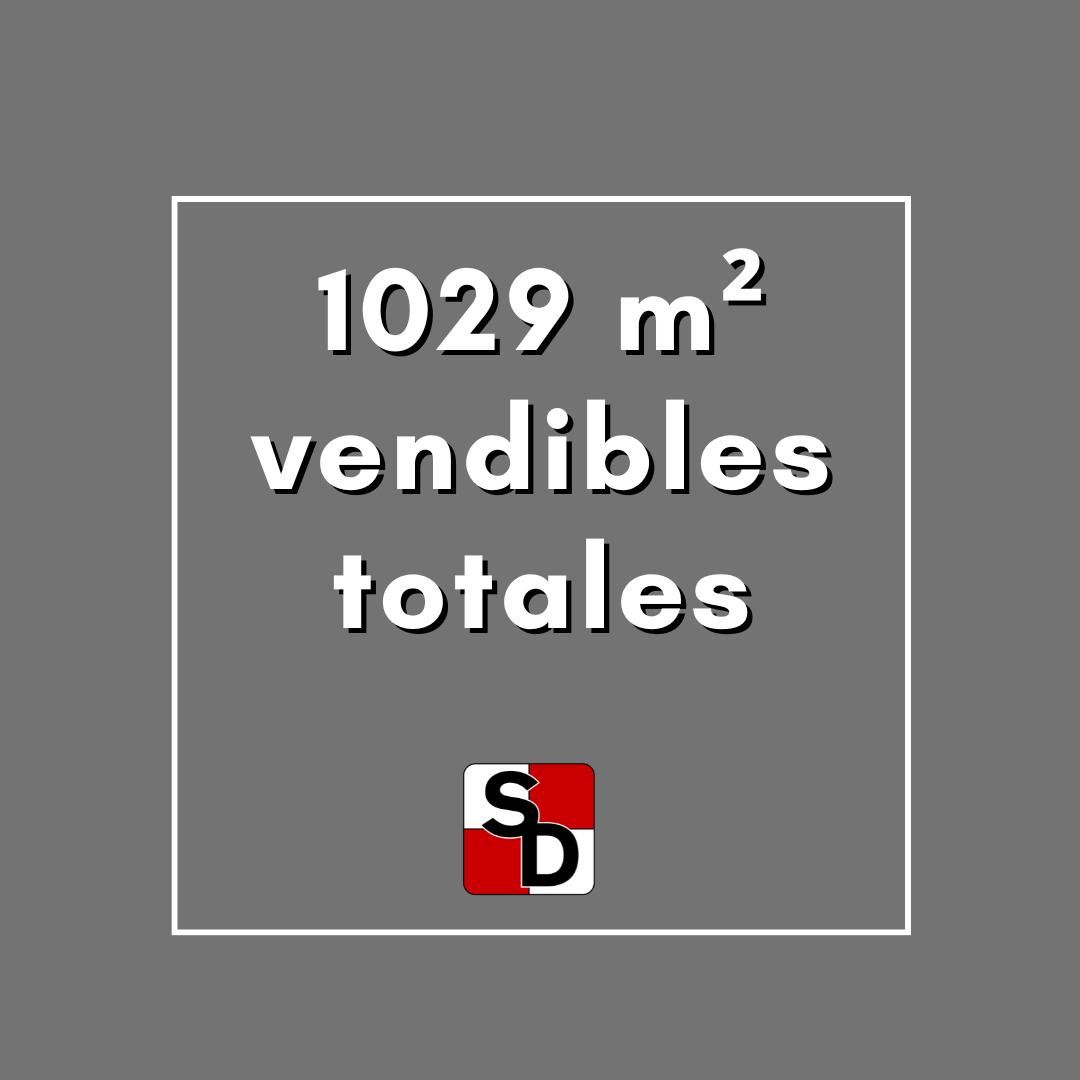 Foto de Venta │Terreno│ USAA │ 8,66 x 17 │ 1029 m2 vendibles aprox, imagen 4