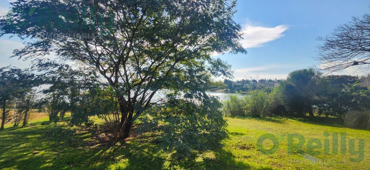 Foto de Venta lote a la laguna en Santa Clara, imagen 4