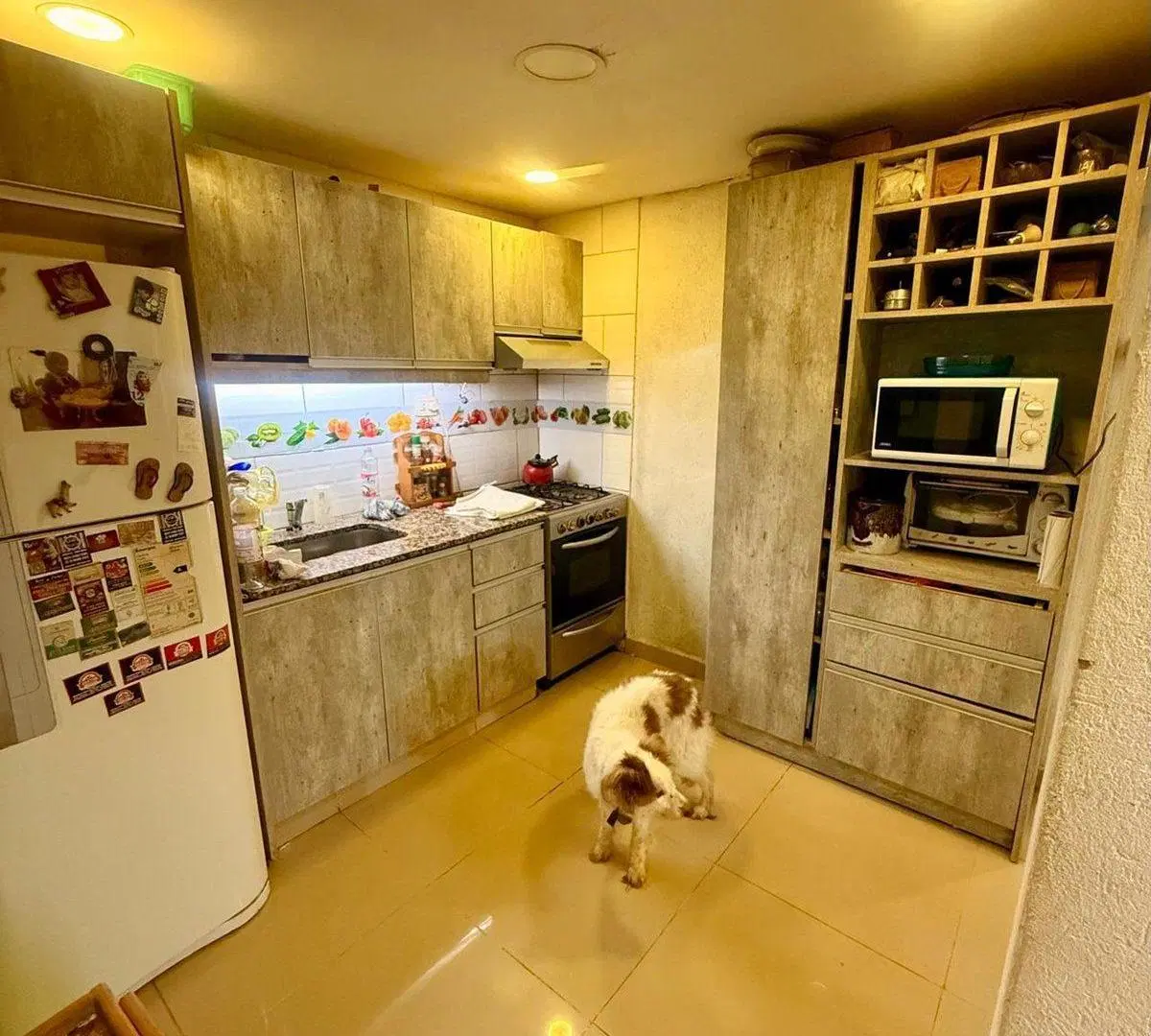 PH de 3 ambientes con patio en venta – Sáenz Peña 3