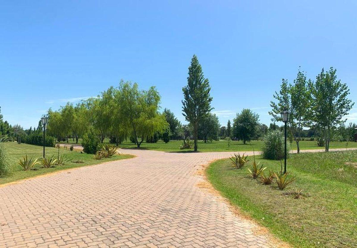 Foto de VENTA TERRENO CAÑUELAS BARRIO LOMAS DE PETIÓN, imagen 5