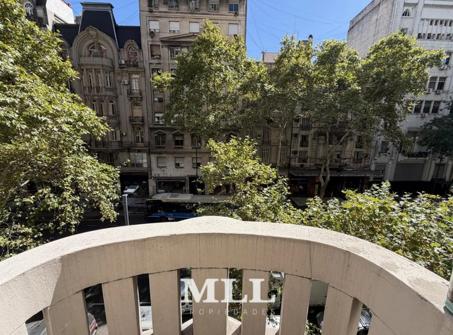 Gran oficina en el Palacio Barolo 5