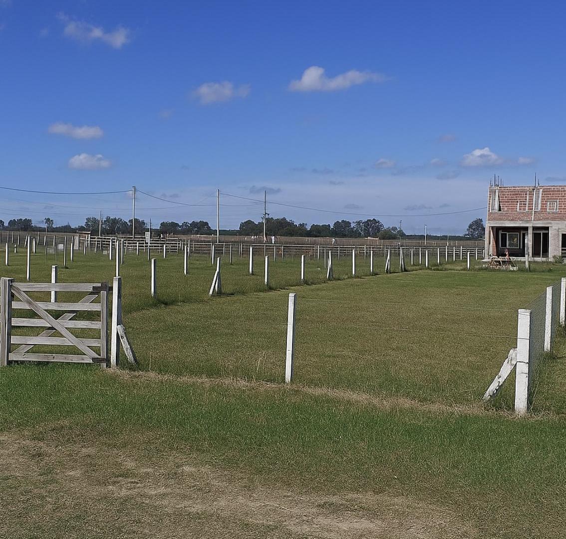 Terreno en Domselaar