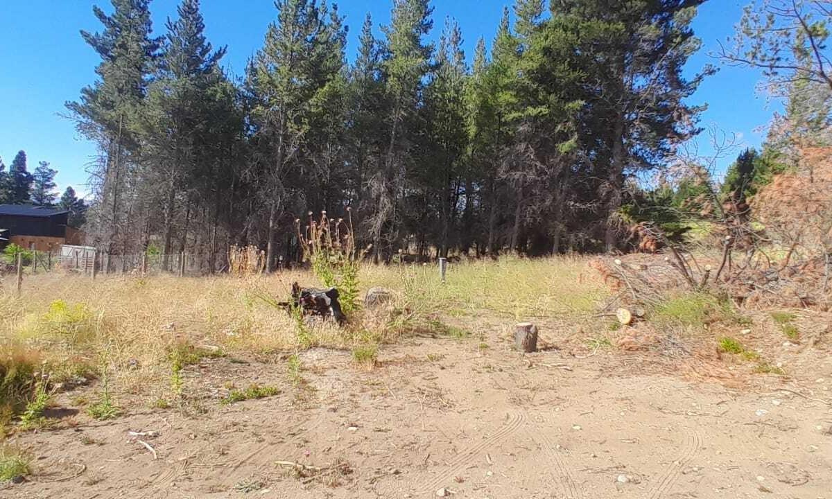 Terreno Lote en Venta en Dina Huapi, Bariloche, Patagonia 1