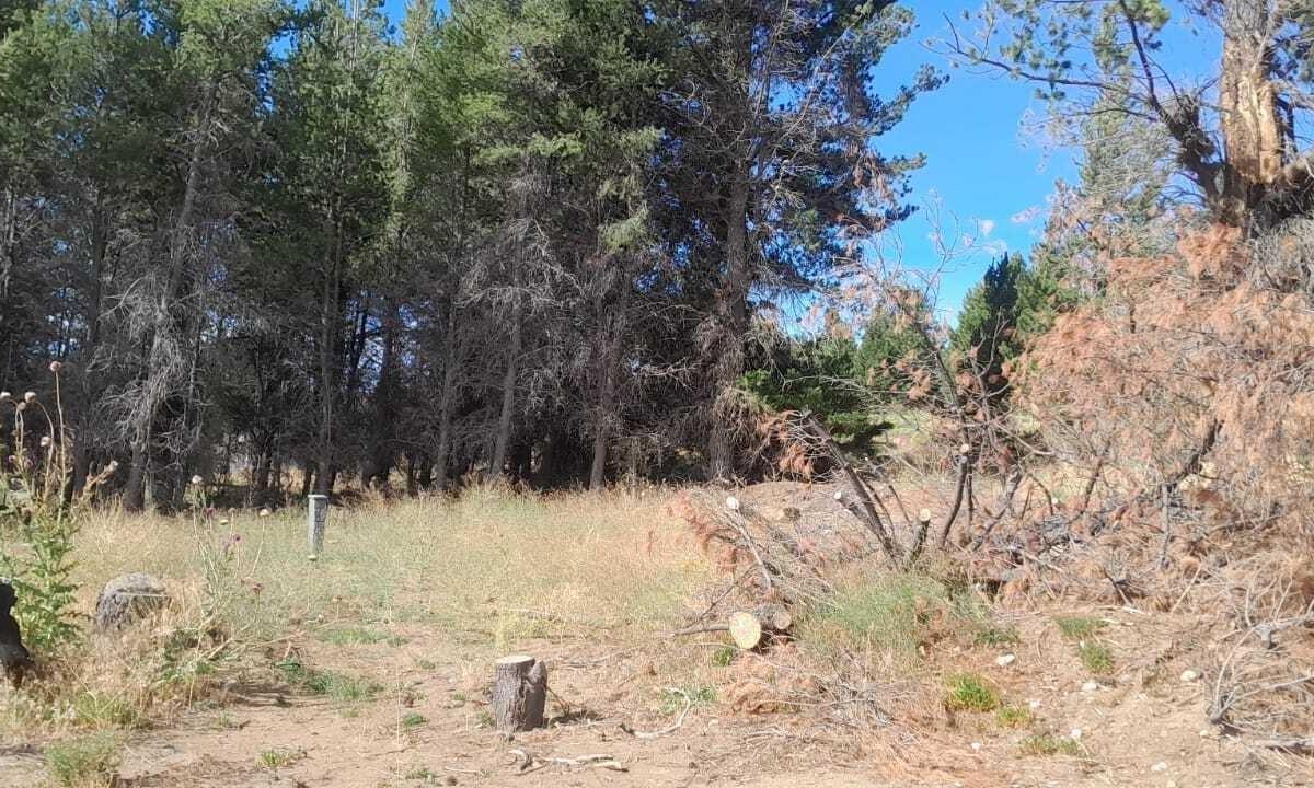 Terreno Lote en Venta en Dina Huapi, Bariloche, Patagonia 5
