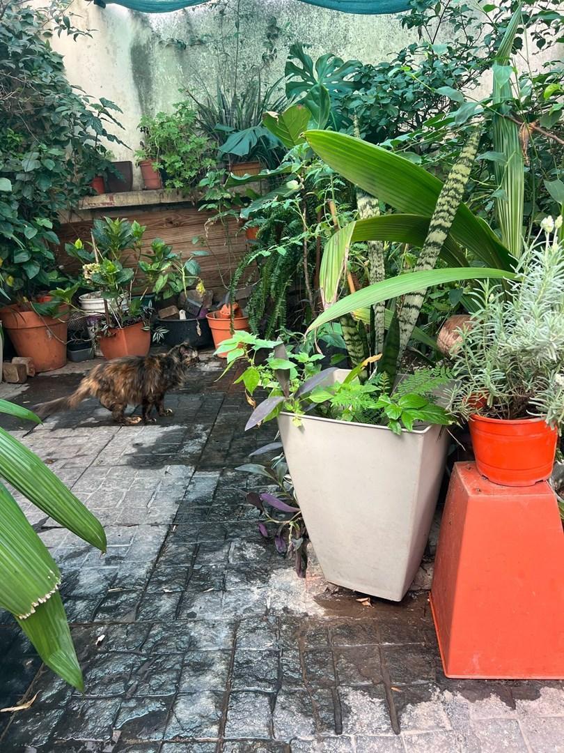 Casa en Venta en Saavedra, Capital Federal, Buenos Aires 5