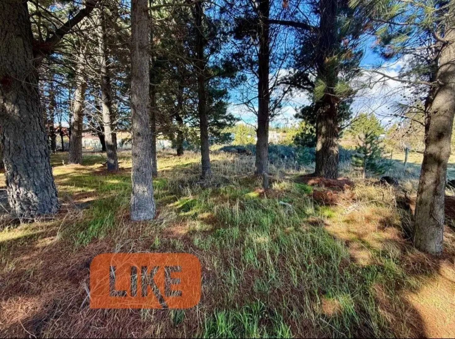 Terreno Lote  en Venta en Bariloche, Patagonia, Argentina 3