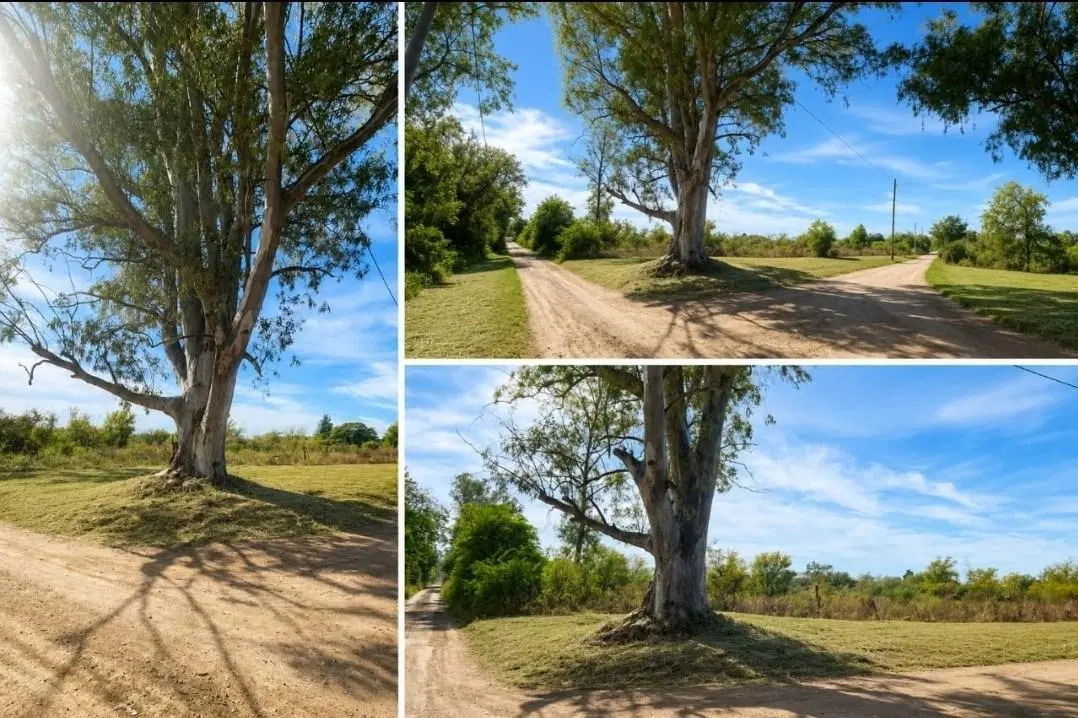 Terreno Lote  en Venta en General Arenales, Córdoba 2