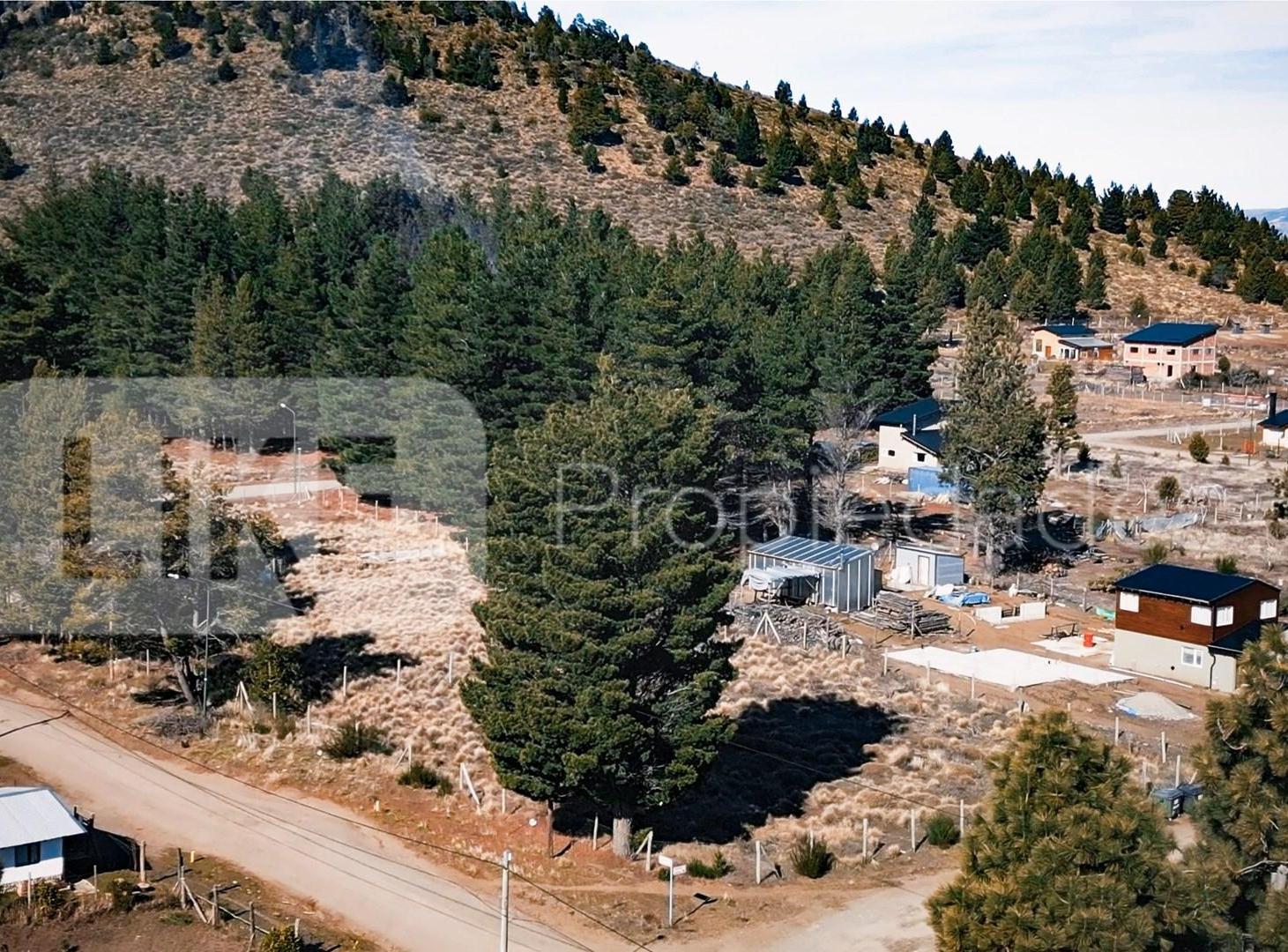 Foto de Terreno Lote en Venta apto desarrollo en Dina Huapi, Bariloche, imagen 2