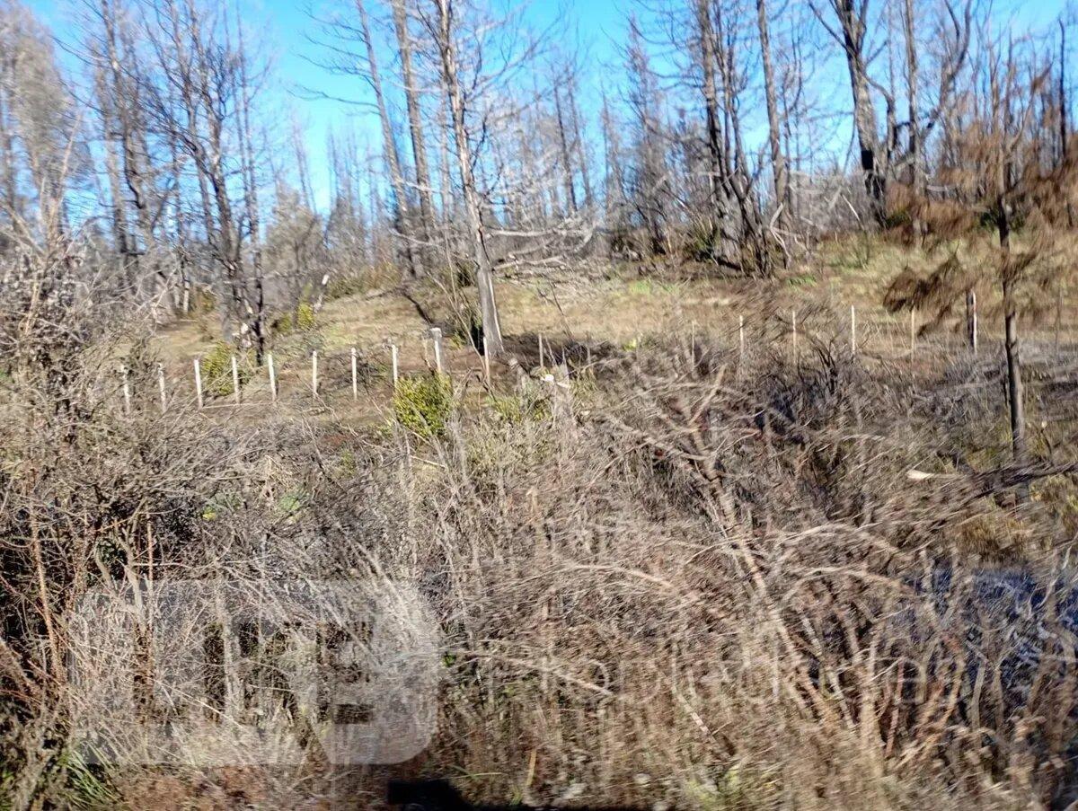 Foto de Terreno Lote En Venta En Mallín Ahogado, El Bolsón, Patagonia, imagen 5
