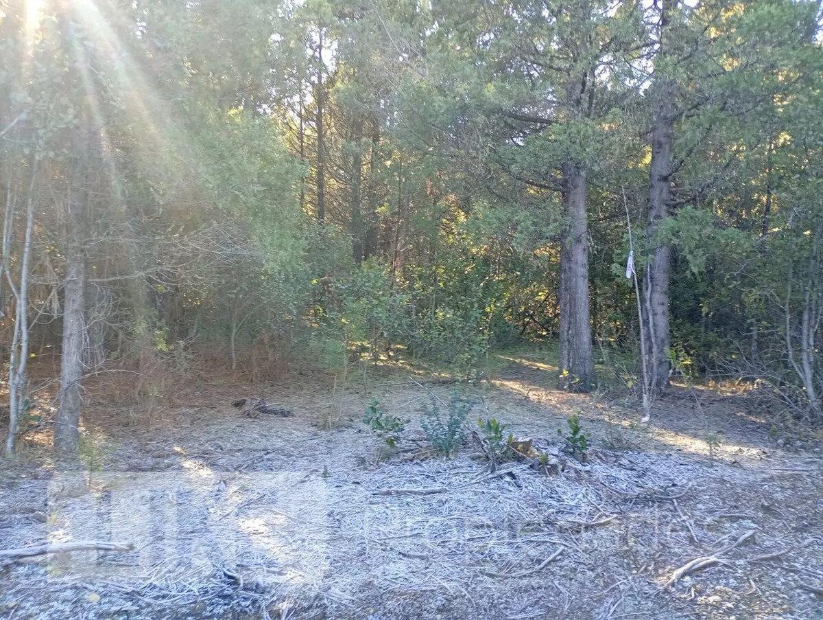 Foto de Terreno Lote En Venta En Mallín Ahogado, El Bolsón, Patagonia, imagen 3
