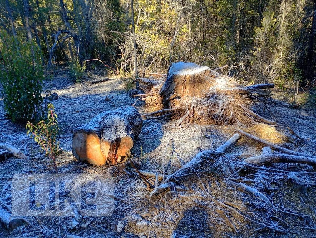 Foto de Terreno Lote En Venta En Mallín Ahogado, El Bolsón, Patagonia, imagen 4