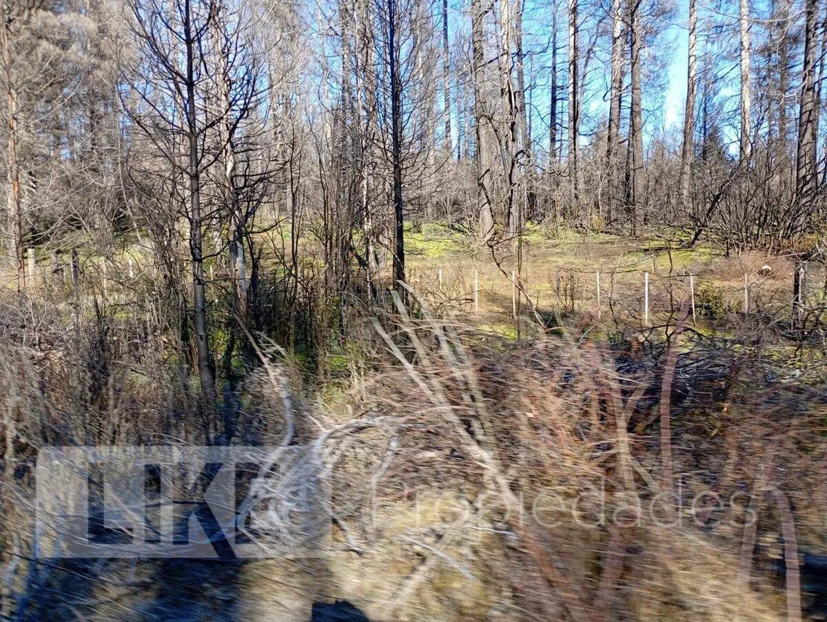 Foto de Terreno Lote En Venta En Mallín Ahogado, El Bolsón, Patagonia, imagen 2