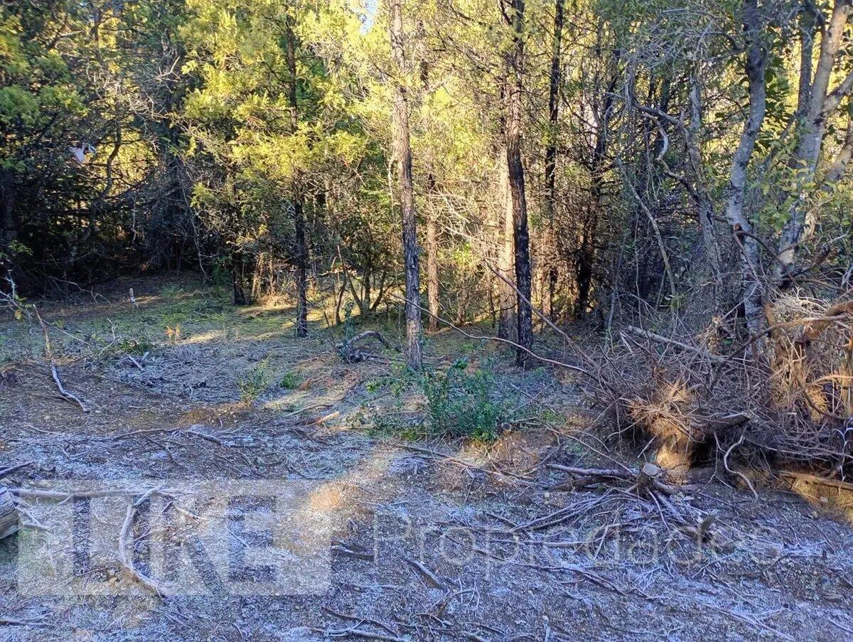 Foto de Terreno Lote En Venta En Mallín Ahogado, El Bolsón, Patagonia, imagen 5