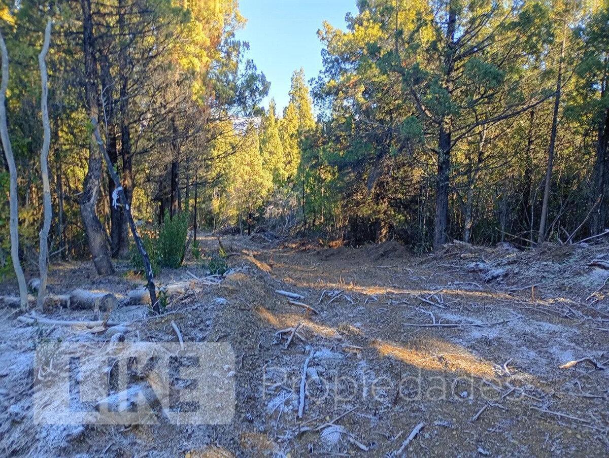 Foto de Terreno Lote En Venta En Mallín Ahogado, El Bolsón, Patagonia, imagen 4