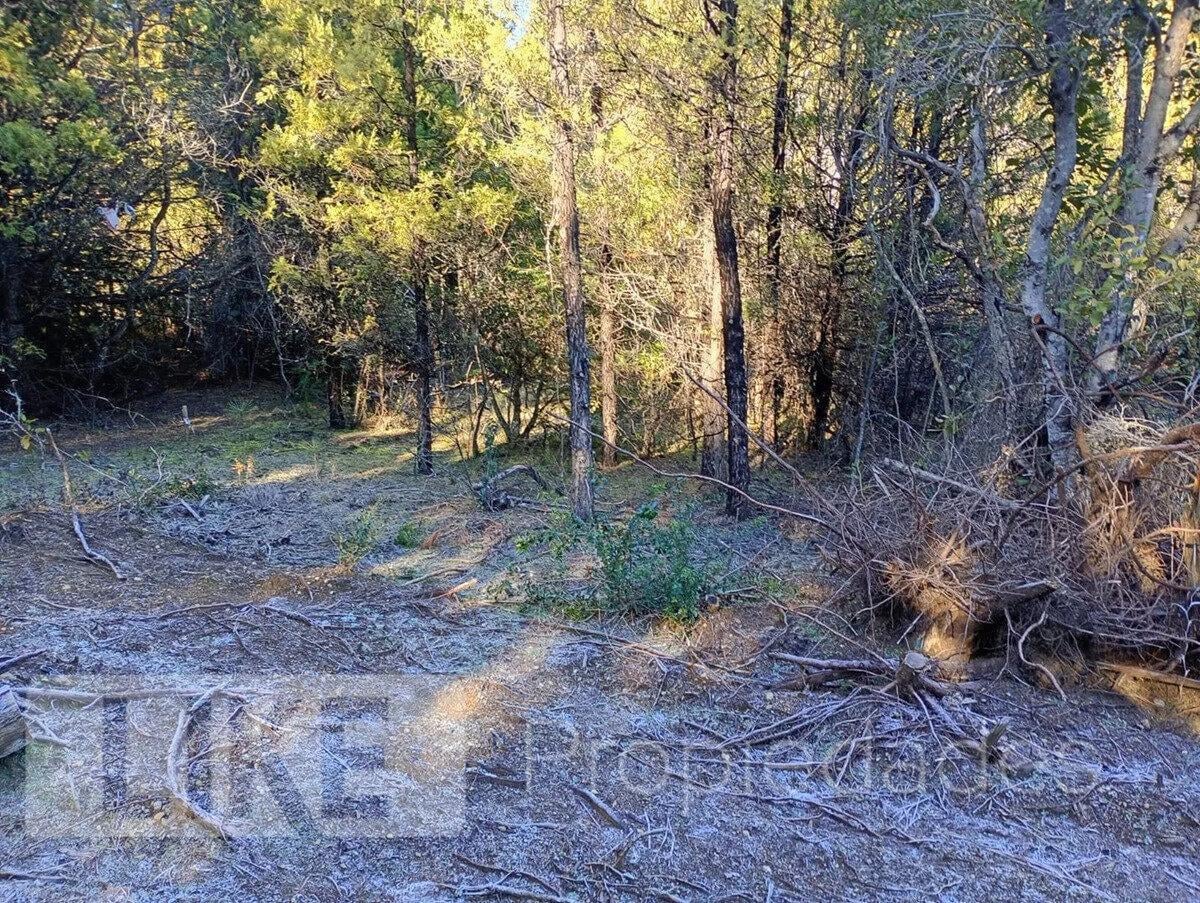 Foto de Terreno Lote En Venta En Mallín Ahogado, El Bolsón, Patagonia, imagen 1