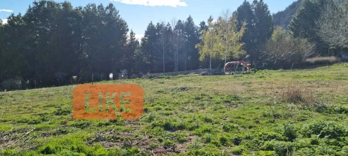 Foto de Terreno Fraccion En Venta En Dina Huapi, Pilcaniyeu, Rio Negro, imagen 4