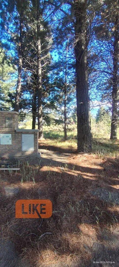Foto de Terreno Lote En Venta En Bariloche, Patagonia, Argentina, imagen 4