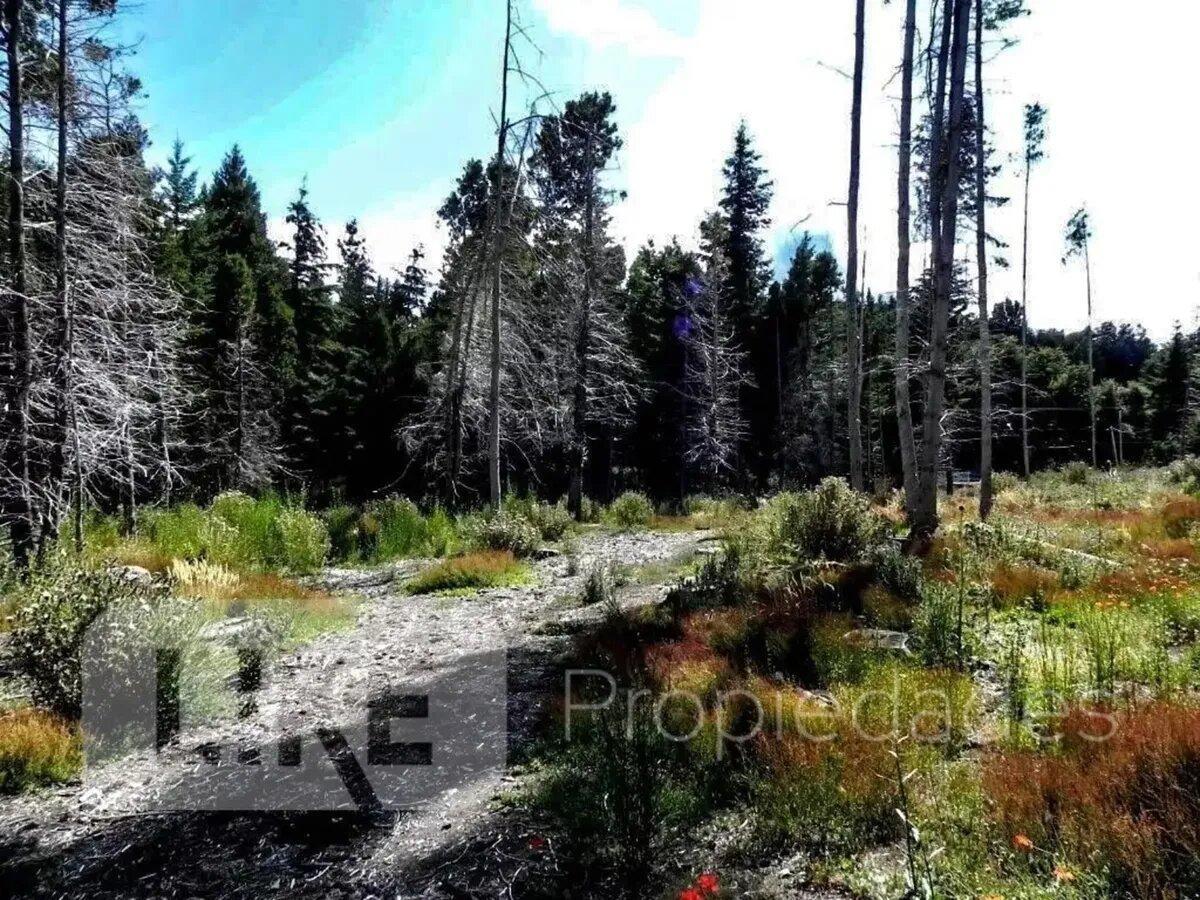 Foto de Terreno Lote En Venta En Kilómetros, Bariloche, Patagonia, imagen 3