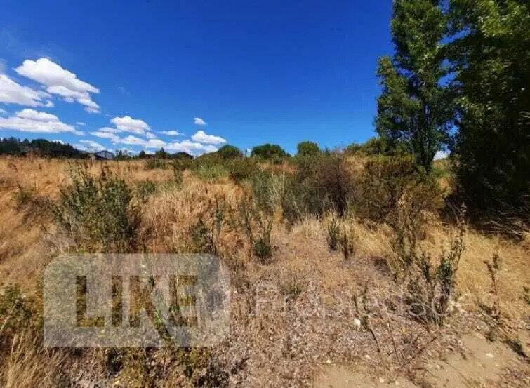 Foto de Terreno Lote En Venta En Dina Huapi, Pilcaniyeu, Rio Negro, imagen 5