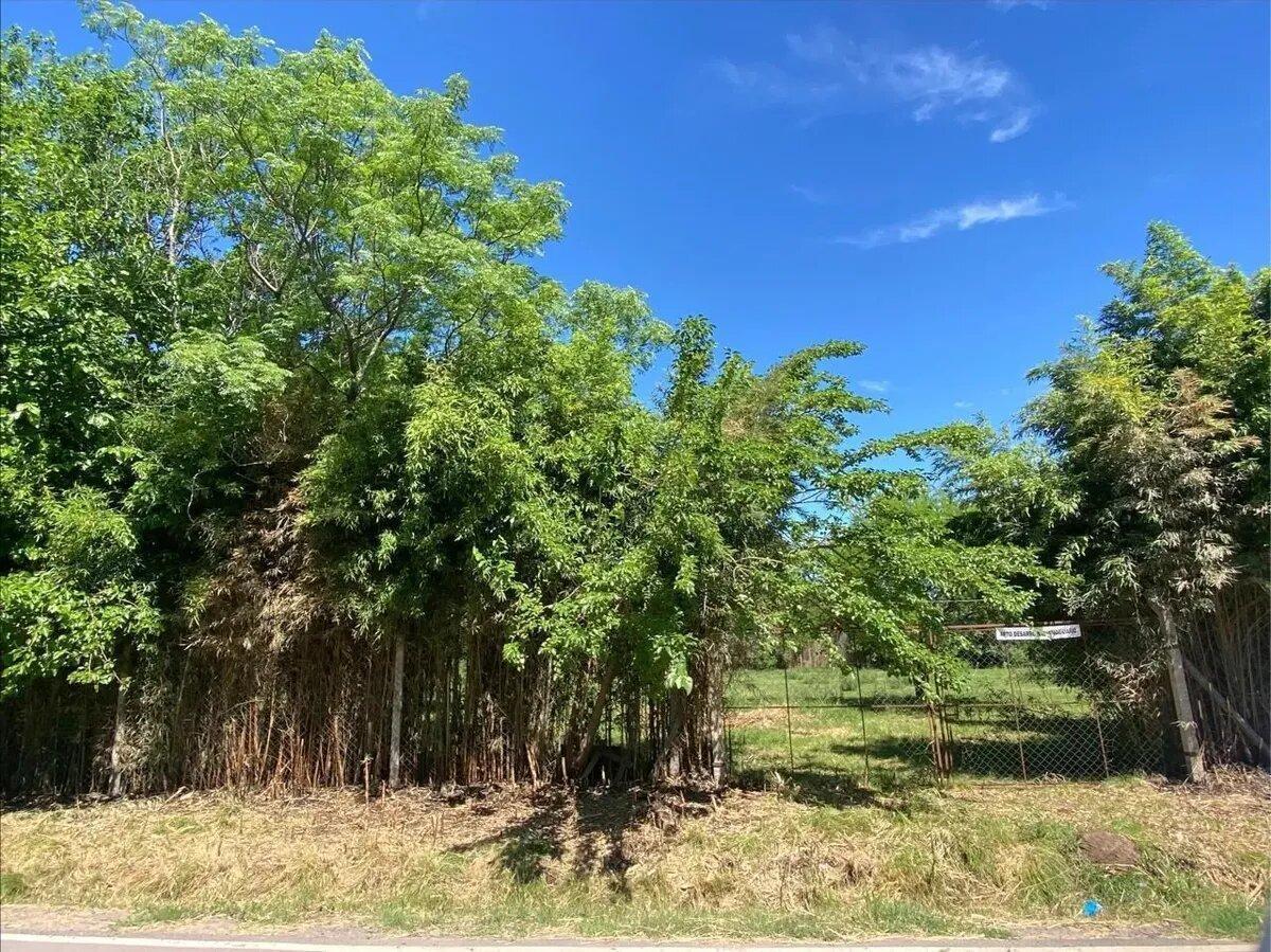 Foto de Terreno Venta Arbolado En La Lonja, Pilar, G.b.a. Zona Norte, imagen 1