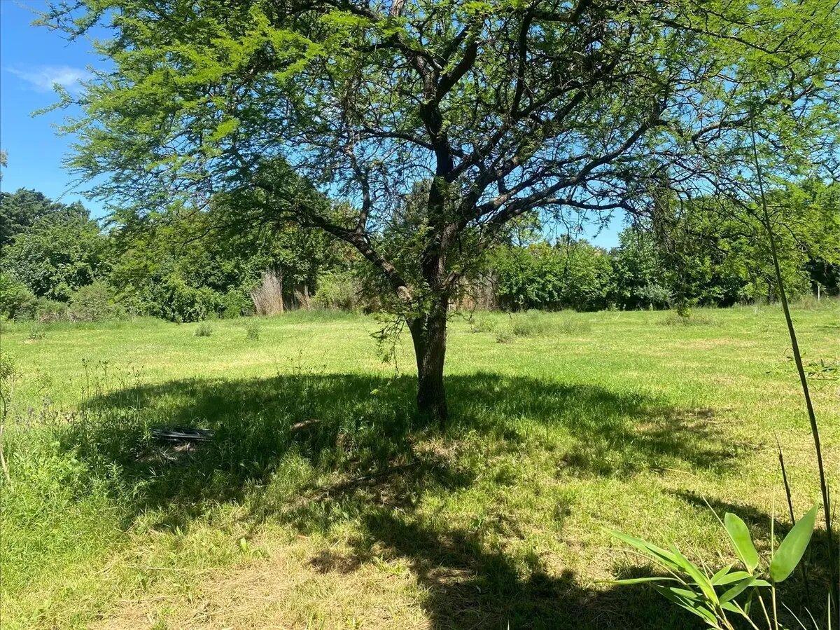 Foto de Terreno Venta Arbolado En La Lonja, Pilar, G.b.a. Zona Norte, imagen 4